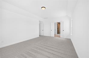 9909 Morning Cloak Drive - Photo 14