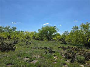 1709 County Road 330 - Photo 30