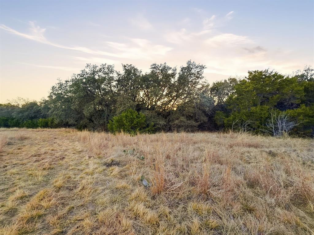 TBD County Road 310 - Photo 32