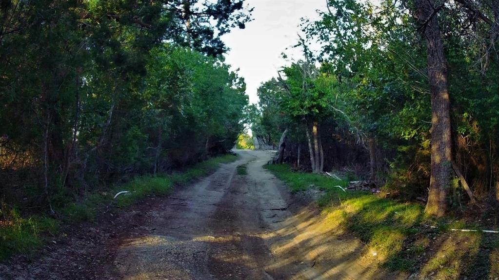 1275 County Road 4820 - Photo 3