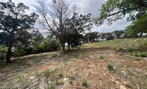 TBD Tyler Trail - Photo 13