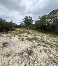 TBD Tyler Trail - Photo 14
