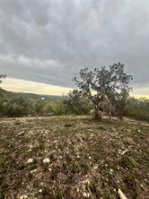 TBD Tyler Trail - Photo 16