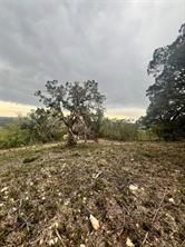 TBD Tyler Trail - Photo 17