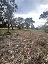 TBD Tyler Trail - Photo 18