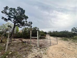 TBD Tyler Trail - Photo 2