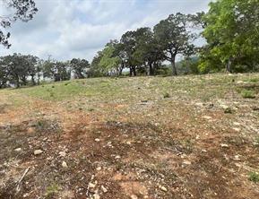 TBD Tyler Trail - Photo 4
