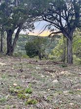 TBD Tyler Trail - Photo 5