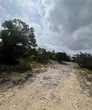 TBD Tyler Trail - Photo 8