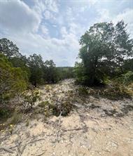 TBD Tyler Trail - Photo 9