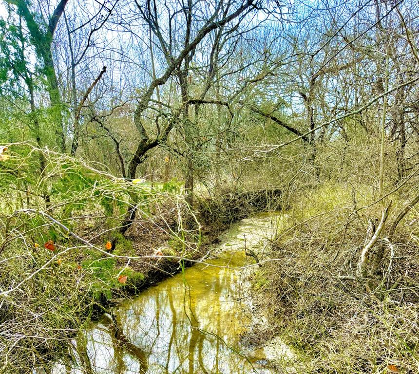 2691 County Road 3335 - Photo 14