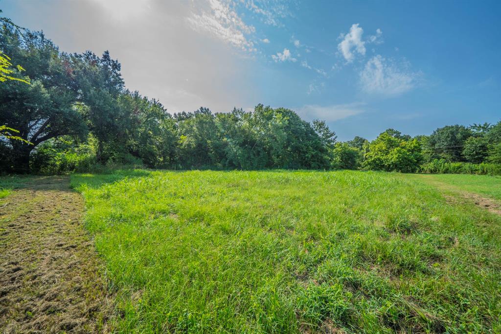 350 Quail Street - Photo 11