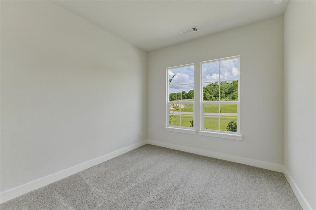 429 Texas Sage Trail - Photo 12