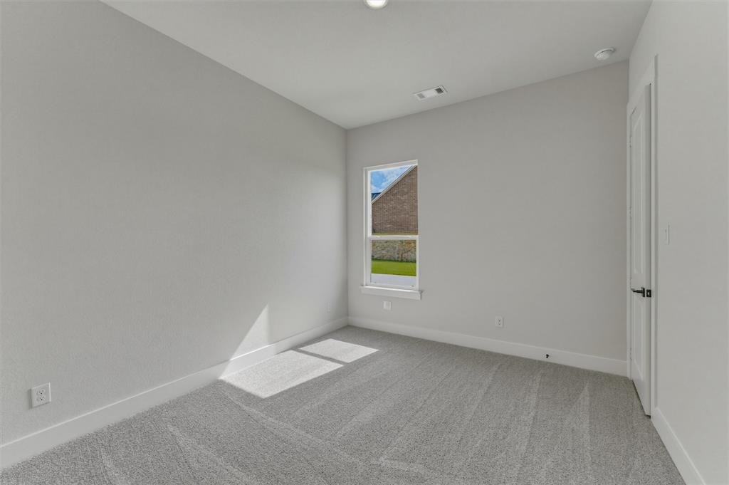 429 Texas Sage Trail - Photo 14