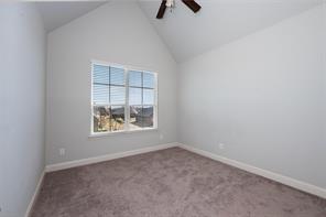 1505 Wolf Ridge Run - Photo 34