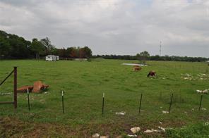 102 Bowers Street - Photo 14