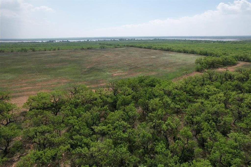 Lot 1 W Lake Road Road - Photo 1
