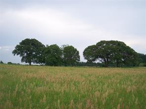 800 County Road 426 - Photo 27