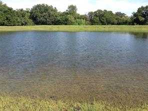 800 County Road 426 - Photo 31