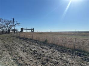 4421 County Road 1022 - Photo 10