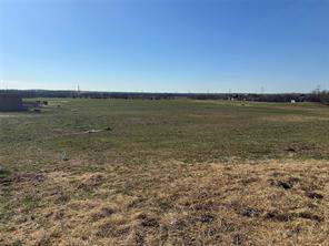 4421 County Road 1022 - Photo 7