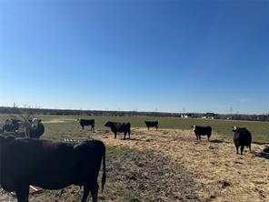 4421 County Road 1022 - Photo 8