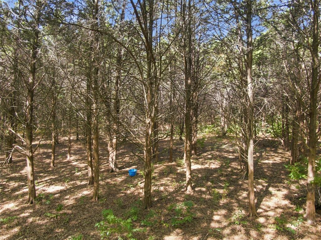 7831 Clark Court - Photo 24