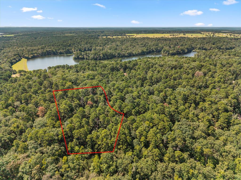 229 County Road 4554 - Photo 11