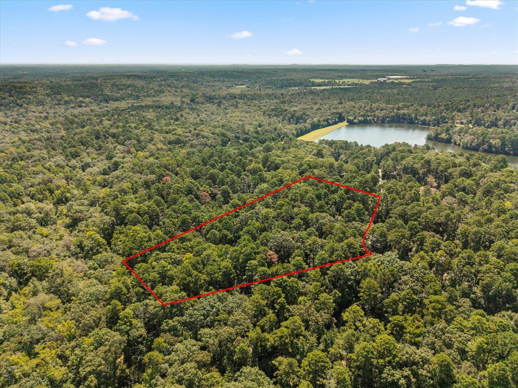 229 County Road 4554 - Photo 12