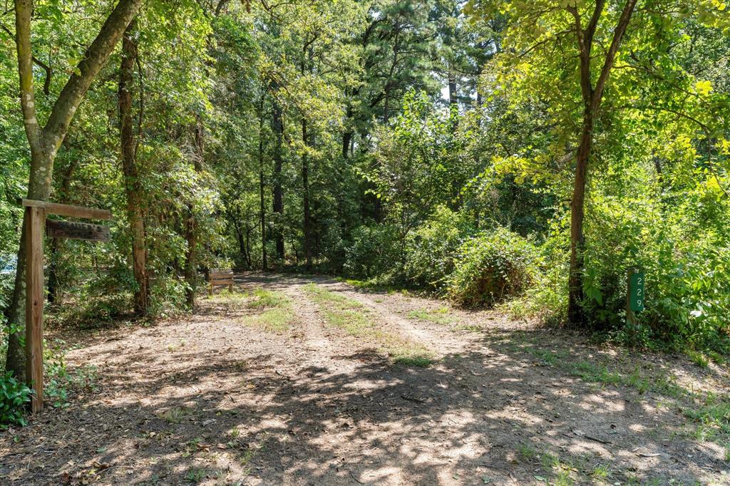 229 County Road 4554 - Photo 6