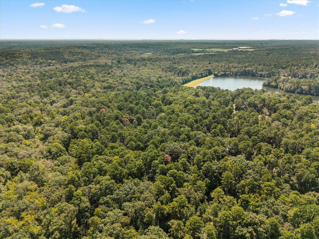 229 County Road 4554 - Photo 7