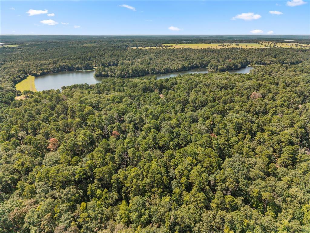 229 County Road 4554 - Photo 8