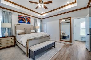 250 Alondrita Street - Photo 12