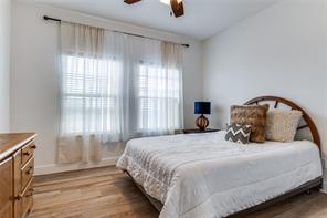 250 Alondrita Street - Photo 16