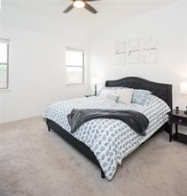 3826 Chicory Court - Photo 14