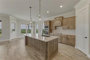 413 Texas Sage Trail - Photo 10