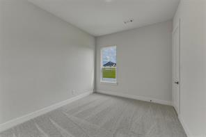 413 Texas Sage Trail - Photo 14