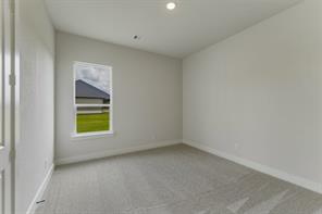 413 Texas Sage Trail - Photo 15