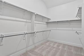 3591 Redbud Flower Trail - Photo 13