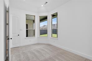3591 Redbud Flower Trail - Photo 20