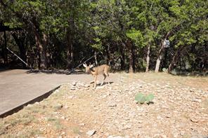 880 Cliffs Drive - Photo 28