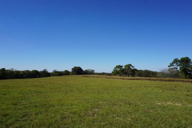 cr4301 Plainview Road