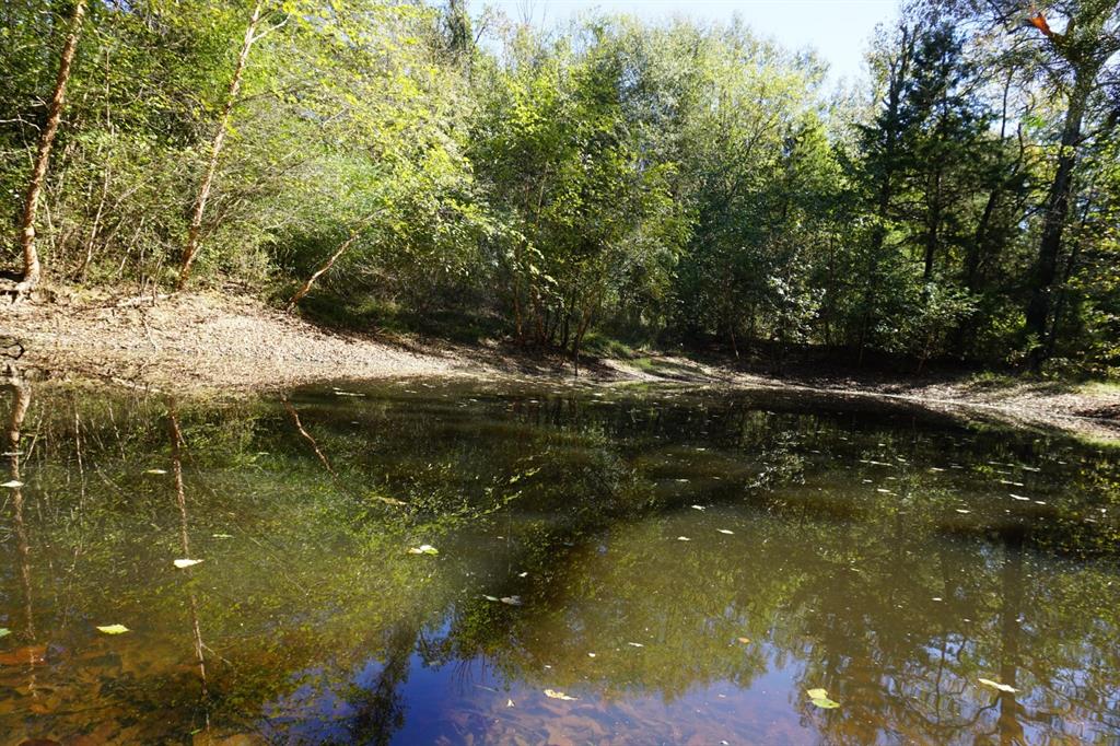 cr4301 Plainview Road - Photo 15