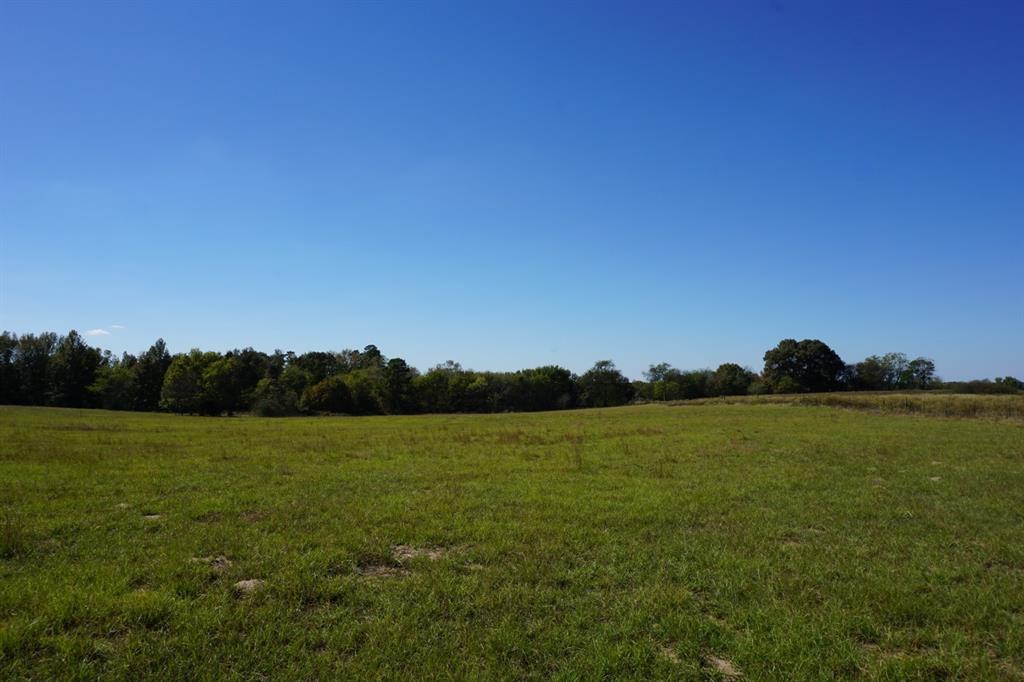 cr4301 Plainview Road - Photo 26