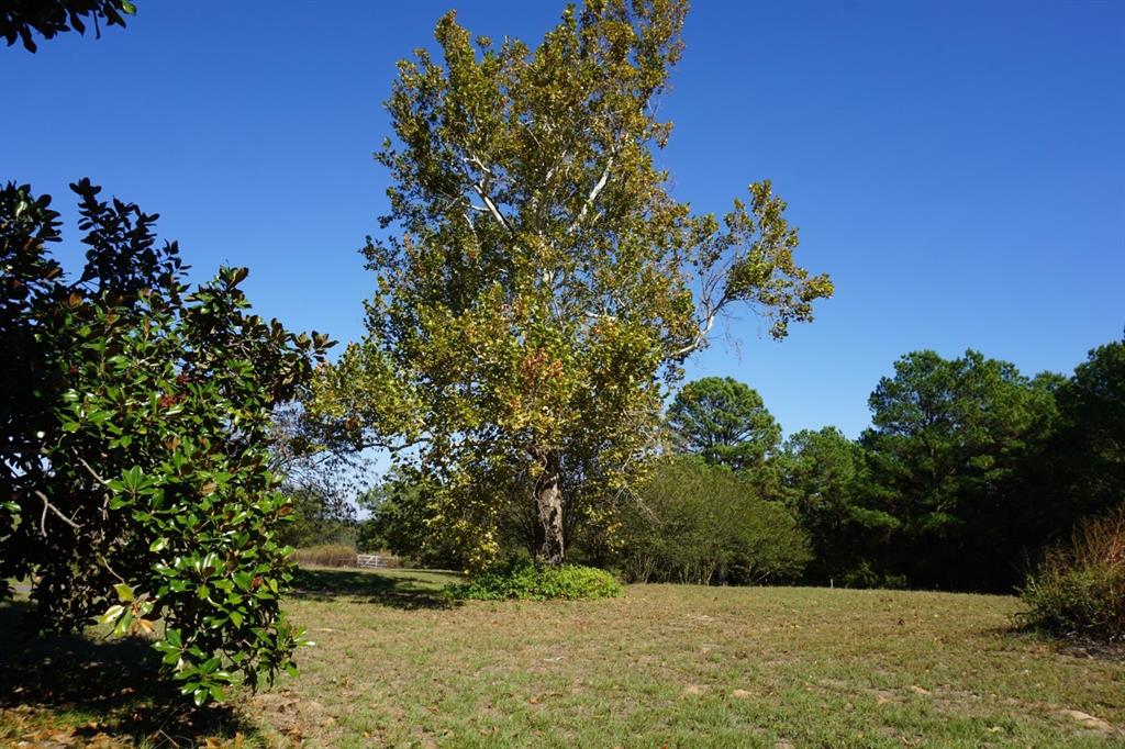 cr4301 Plainview Road - Photo 7
