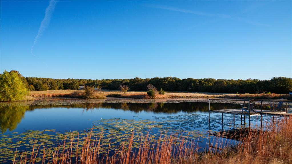 1210 County Road 232 - Photo 10
