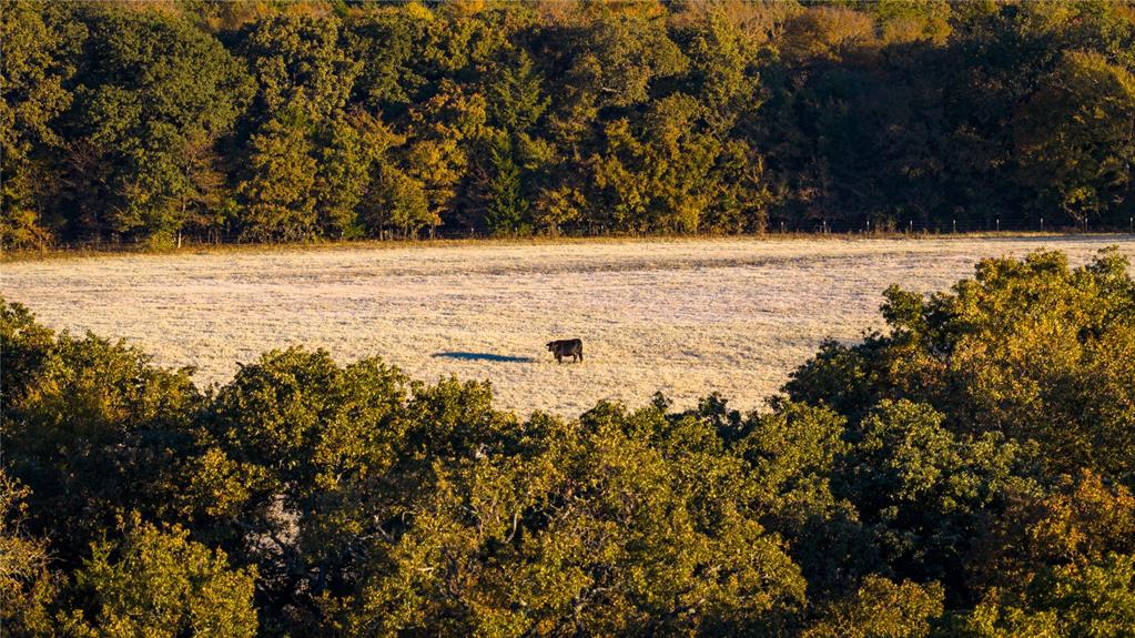 1210 County Road 232 - Photo 28