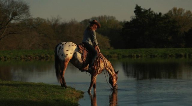Photo 40