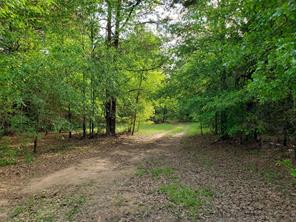 1070 Piney Grove - Photo 2