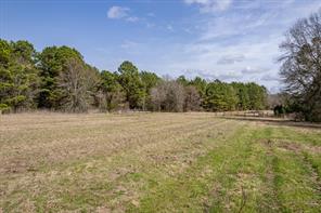 1070 Piney Grove - Photo 27